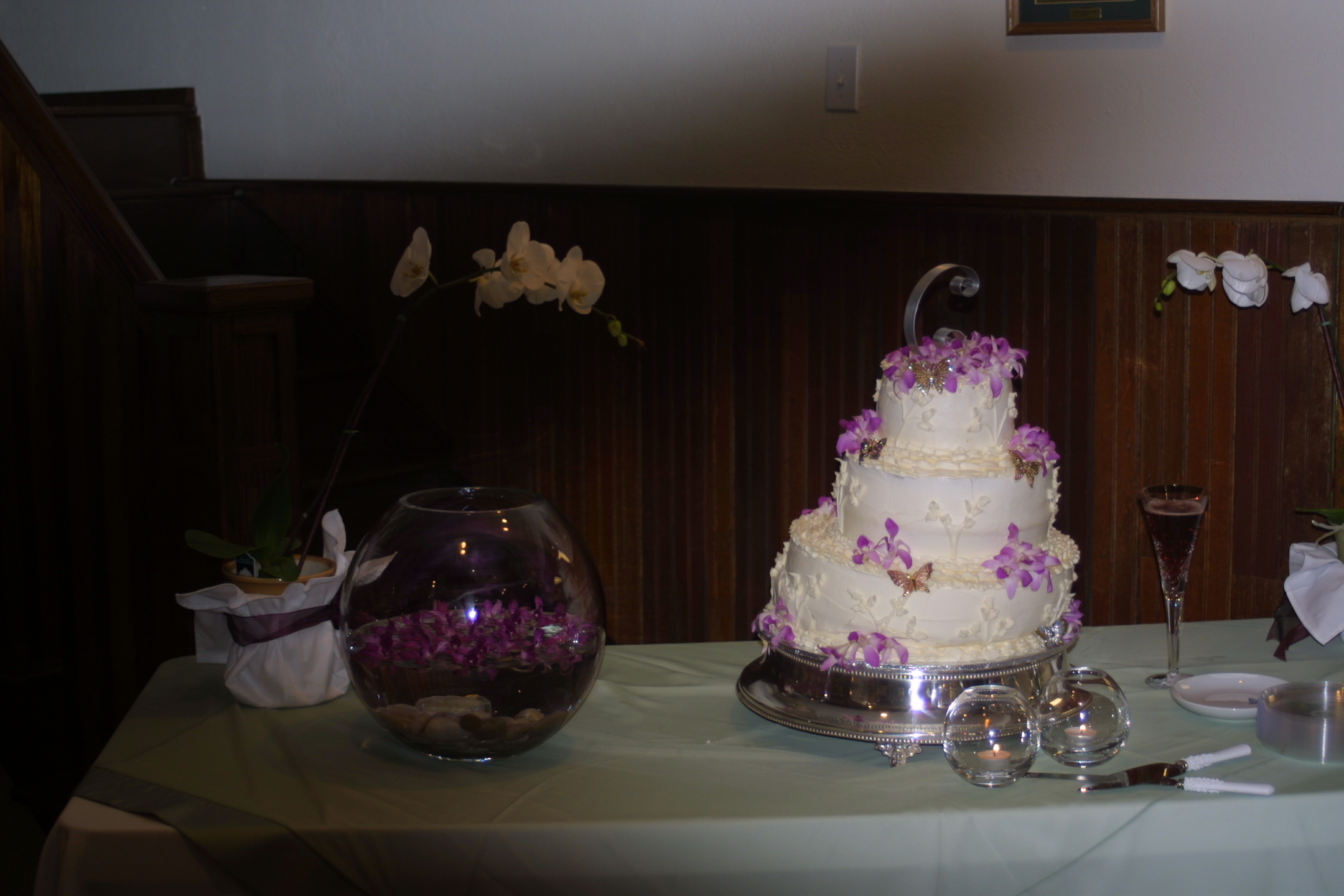 IMG_4882.JPG